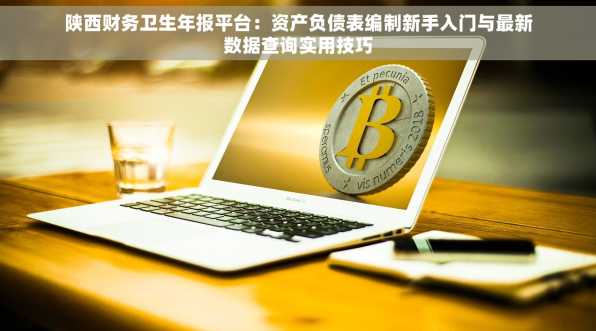 陕西财务卫生年报平台：资产负债表编制新手入门与最新数据查询实用技巧
