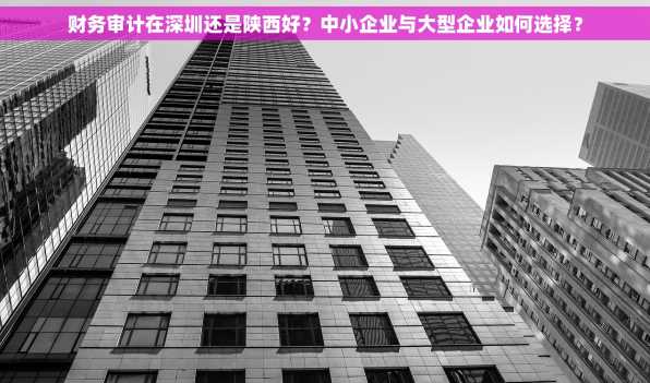 财务审计在深圳还是陕西好？中小企业与大型企业如何选择？