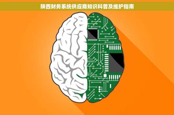 陕西财务系统供应商知识科普及维护指南
