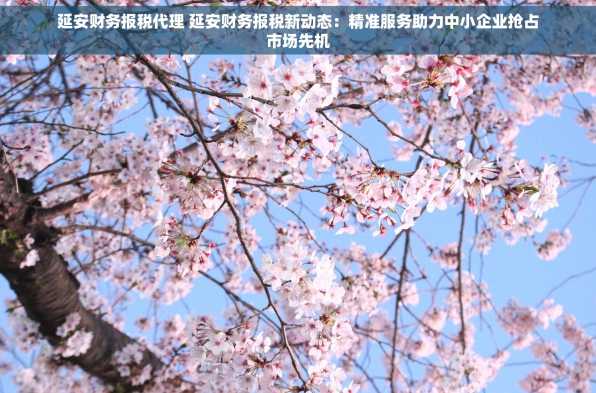 延安财务报税代理 延安财务报税新动态：精准服务助力中小企业抢占市场先机