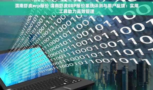 渭南虾皮erp报价 渭南虾皮ERP报价系统评测与用户反馈：实用工具助力高效管理