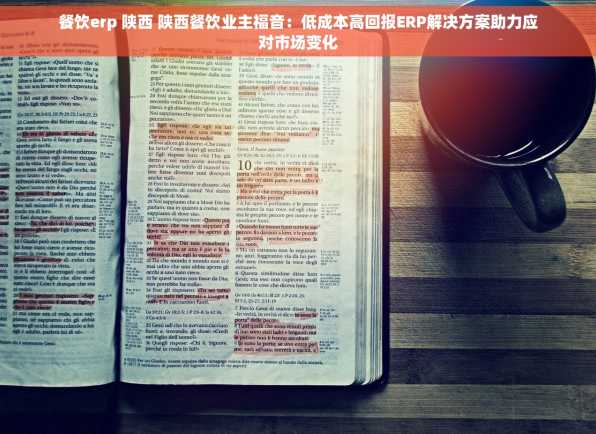 餐饮erp 陕西 陕西餐饮业主福音：低成本高回报ERP解决方案助力应对市场变化