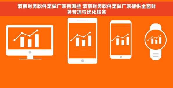 渭南财务软件定做厂家有哪些 渭南财务软件定做厂家提供全面财务管理与优化服务