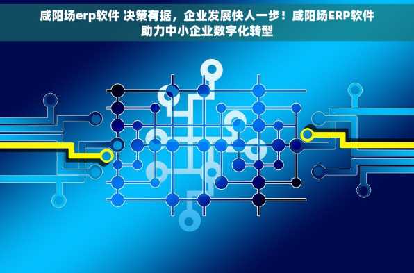 咸阳场erp软件 决策有据，企业发展快人一步！咸阳场ERP软件助力中小企业数字化转型
