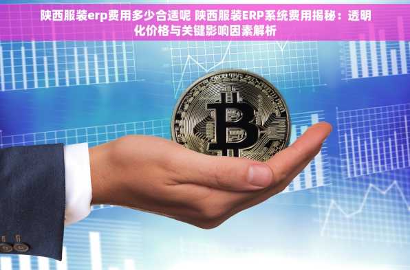 陕西服装erp费用多少合适呢 陕西服装ERP系统费用揭秘：透明化价格与关键影响因素解析