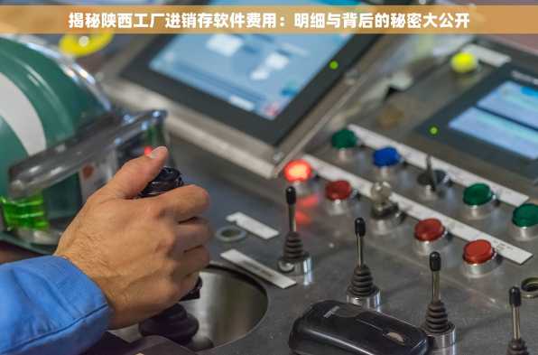 揭秘陕西工厂进销存软件费用：明细与背后的秘密大公开