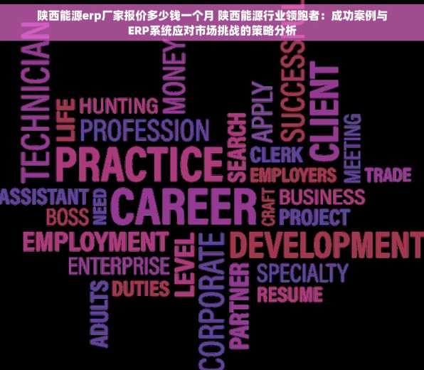 陕西能源erp厂家报价多少钱一个月 陕西能源行业领跑者：成功案例与ERP系统应对市场挑战的策略分析