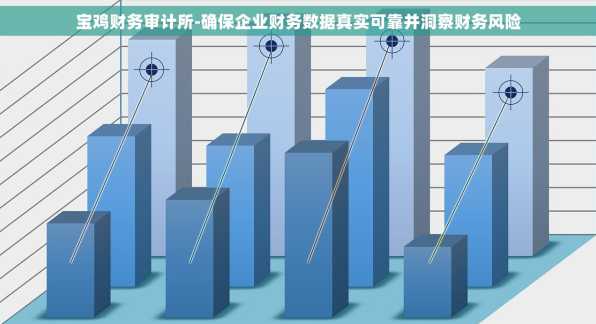 宝鸡财务审计所-确保企业财务数据真实可靠并洞察财务风险
