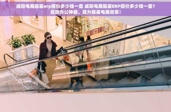 咸阳电商服装erp报价多少钱一套 咸阳电商服装ERP报价多少钱一套？高效办公神器，提升服装电商效率！