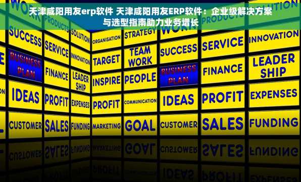 天津咸阳用友erp软件 天津咸阳用友ERP软件：企业级解决方案与选型指南助力业务增长