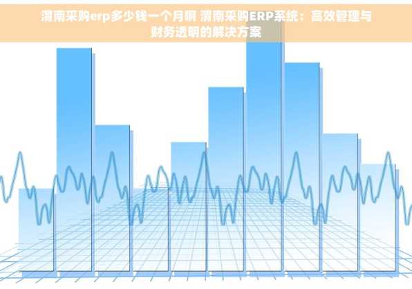 渭南采购erp多少钱一个月啊 渭南采购ERP系统：高效管理与财务透明的解决方案
