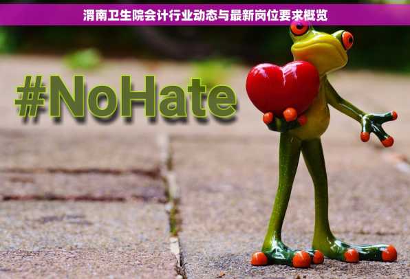渭南卫生院会计行业动态与最新岗位要求概览