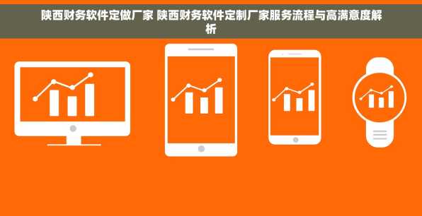 陕西财务软件定做厂家 陕西财务软件定制厂家服务流程与高满意度解析