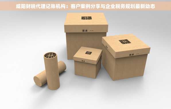咸阳财税代理记账机构：客户案例分享与企业税务规划最新动态