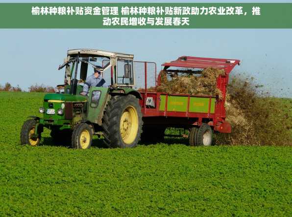 榆林种粮补贴资金管理 榆林种粮补贴新政助力农业改革，推动农民增收与发展春天