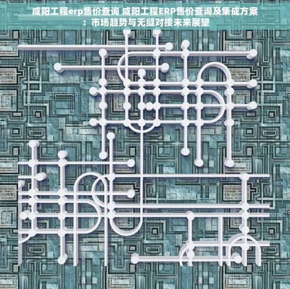 咸阳工程erp售价查询 咸阳工程ERP售价查询及集成方案：市场趋势与无缝对接未来展望