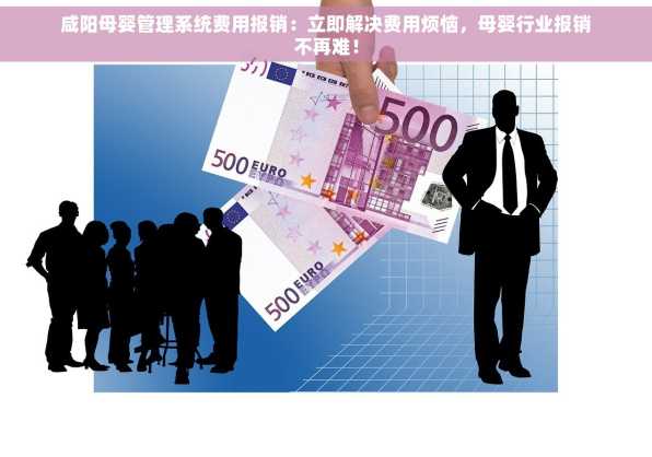 咸阳母婴管理系统费用报销：立即解决费用烦恼，母婴行业报销不再难！