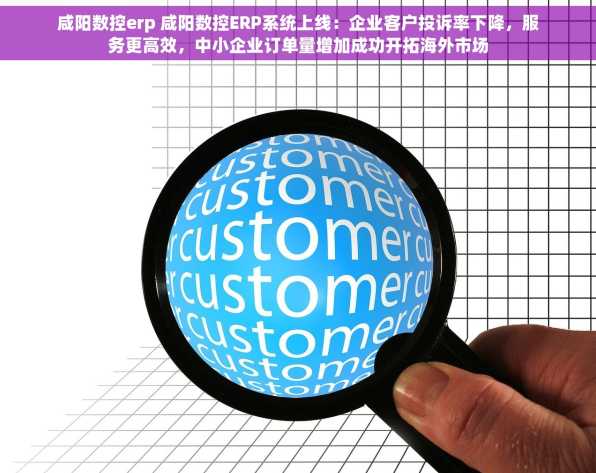咸阳数控erp 咸阳数控ERP系统上线：企业客户投诉率下降，服务更高效，中小企业订单量增加成功开拓海外市场