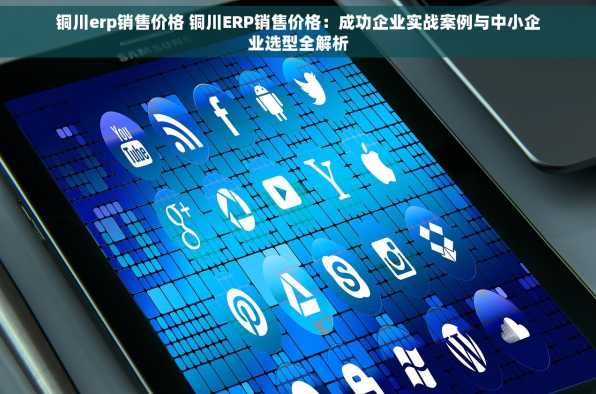 铜川erp销售价格 铜川ERP销售价格：成功企业实战案例与中小企业选型全解析