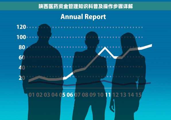 陕西医药资金管理知识科普及操作步骤详解