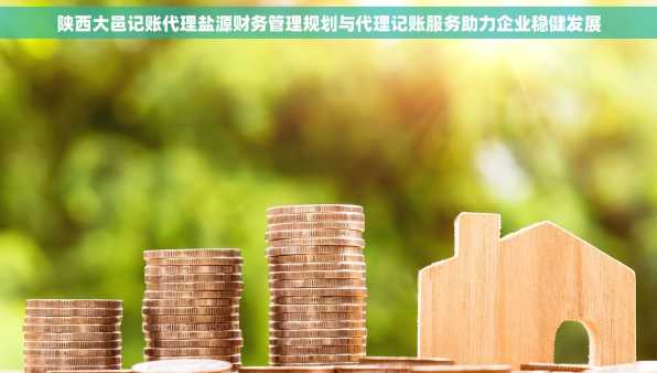 陕西大邑记账代理盐源财务管理规划与代理记账服务助力企业稳健发展