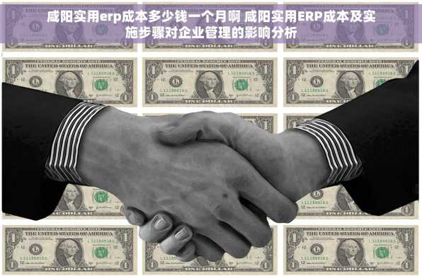 咸阳实用erp成本多少钱一个月啊 咸阳实用ERP成本及实施步骤对企业管理的影响分析