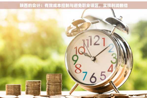 陕西的会计：有效成本控制与避免职业误区，实现利润翻倍