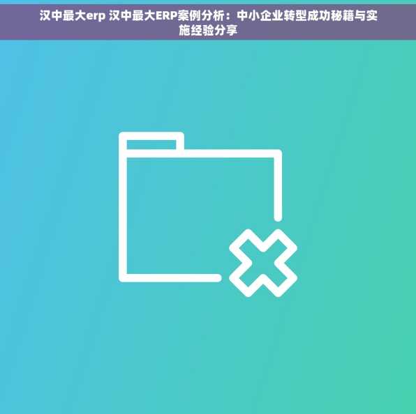 汉中最大erp 汉中最大ERP案例分析：中小企业转型成功秘籍与实施经验分享
