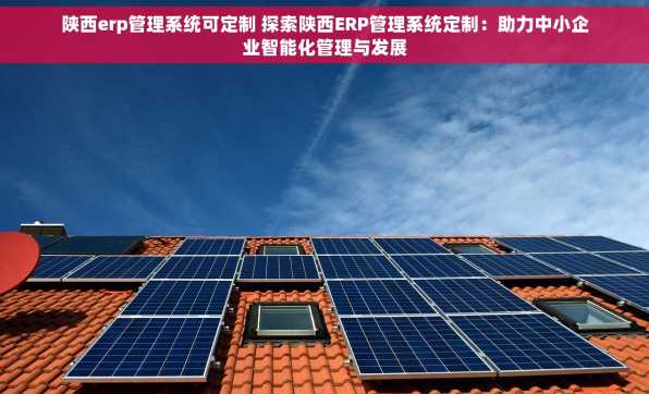 陕西erp管理系统可定制 探索陕西ERP管理系统定制：助力中小企业智能化管理与发展