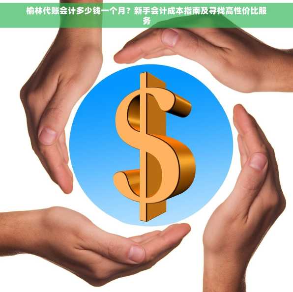 榆林代账会计多少钱一个月？新手会计成本指南及寻找高性价比服务