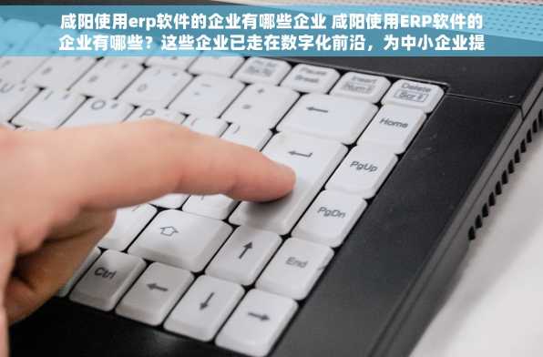 咸阳使用erp软件的企业有哪些企业 咸阳使用ERP软件的企业有哪些？这些企业已走在数字化前沿，为中小企业提供高效管理解决方案！