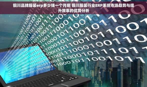 铜川品牌服装erp多少钱一个月啊 铜川服装行业ERP系统市场趋势与提升效率的优势分析