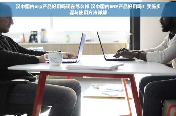 汉中国内erp产品好用吗现在怎么样 汉中国内ERP产品好用吗？实施步骤与使用方法详解