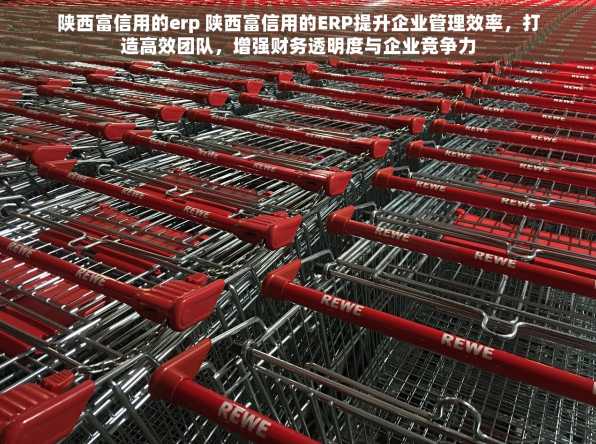 陕西富信用的erp 陕西富信用的ERP提升企业管理效率，打造高效团队，增强财务透明度与企业竞争力