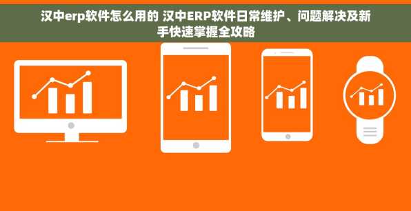 汉中erp软件怎么用的 汉中ERP软件日常维护、问题解决及新手快速掌握全攻略