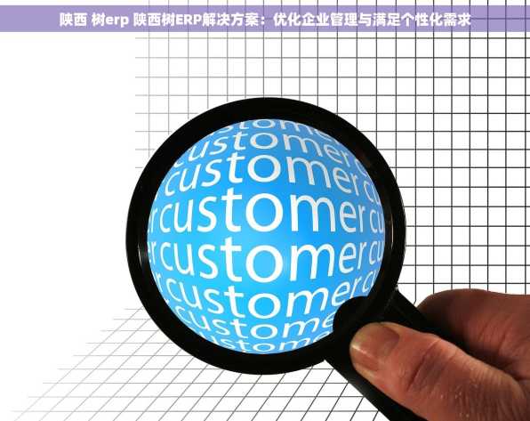 陕西 树erp 陕西树ERP解决方案：优化企业管理与满足个性化需求