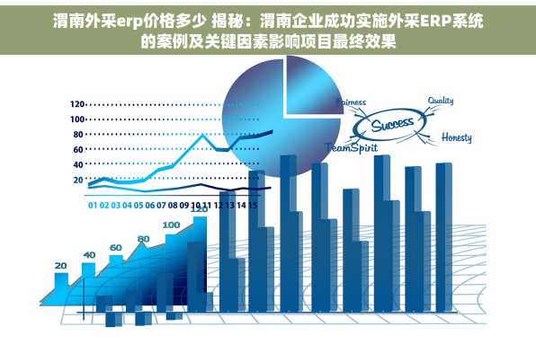 渭南外采erp价格多少 揭秘：渭南企业成功实施外采ERP系统的案例及关键因素影响项目最终效果