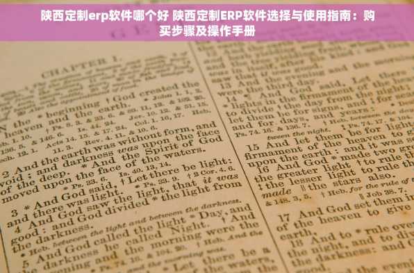 陕西定制erp软件哪个好 陕西定制ERP软件选择与使用指南：购买步骤及操作手册