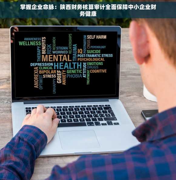 掌握企业命脉：陕西财务核算审计全面保障中小企业财务健康