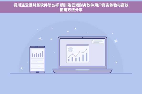 铜川连云港财务软件怎么样 铜川连云港财务软件用户真实体验与高效使用方法分享