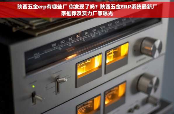 陕西五金erp有哪些厂 你发现了吗？陕西五金ERP系统最新厂家推荐及实力厂家曝光