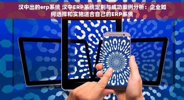 汉中出的erp系统 汉中ERP系统定制与成功案例分析：企业如何选择和实施适合自己的ERP系统