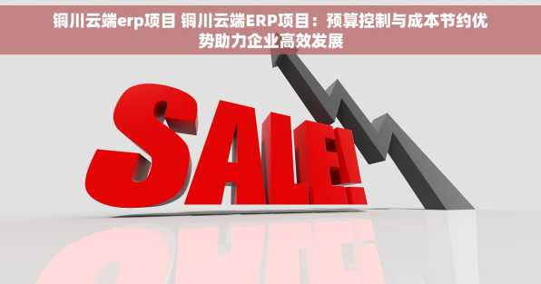 铜川云端erp项目 铜川云端ERP项目：预算控制与成本节约优势助力企业高效发展