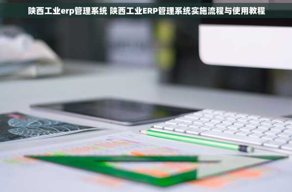 陕西工业erp管理系统 陕西工业ERP管理系统实施流程与使用教程