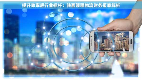 提升效率超行业标杆：陕西隆程物流财务报表解析