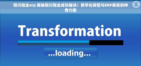 铜川鞋业erp 揭秘铜川鞋业成功秘诀：数字化转型与ERP系统的神奇力量
