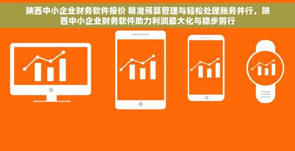 陕西中小企业财务软件报价 精准预算管理与轻松处理账务并行，陕西中小企业财务软件助力利润最大化与稳步前行