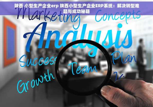 陕西 小型生产企业erp 陕西小型生产企业ERP系统：解决转型难题与成功秘籍