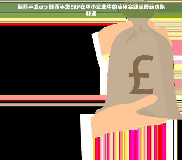 陕西手袋erp 陕西手袋ERP在中小企业中的应用实践及最新功能解读