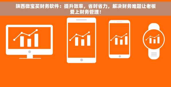 陕西微宝买财务软件：提升效率，省时省力，解决财务难题让老板爱上财务管理！